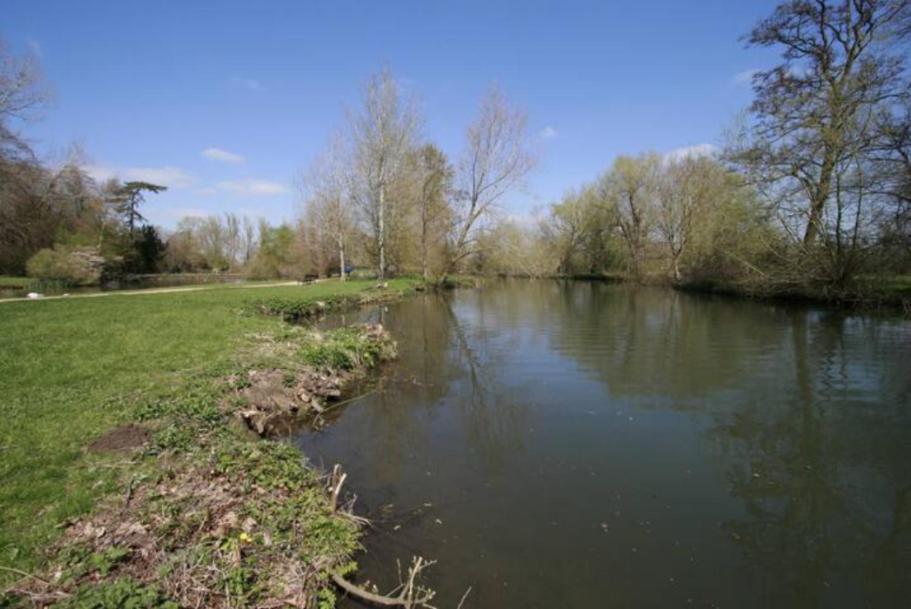 Modern 1-Bed Apartment, Plus Parking, Near Oxford And The Jr מראה חיצוני תמונה